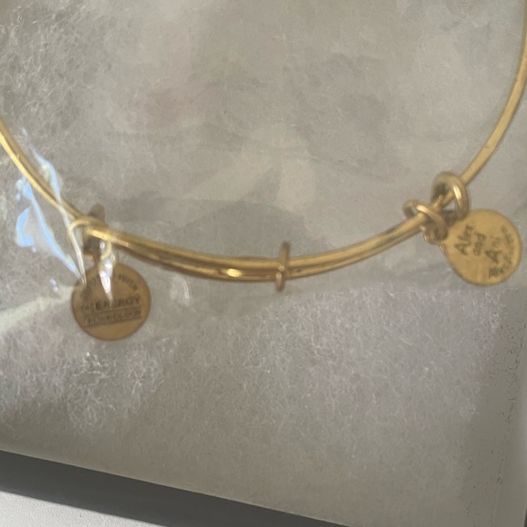 Alex and Ani Gold Tone Infused Energy Bracelet  NEW IN BOX - Picture 6 of 8